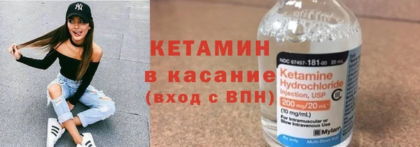 прущие грибы Гусь-Хрустальный