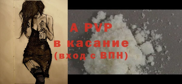 прущие грибы Гусь-Хрустальный
