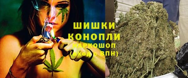 прущие грибы Гусь-Хрустальный
