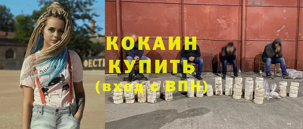 прущие грибы Гусь-Хрустальный