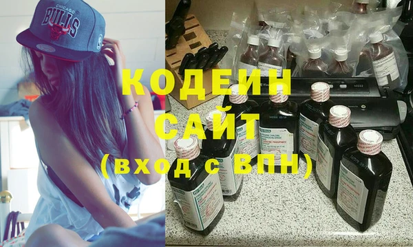 2c-b Гусев
