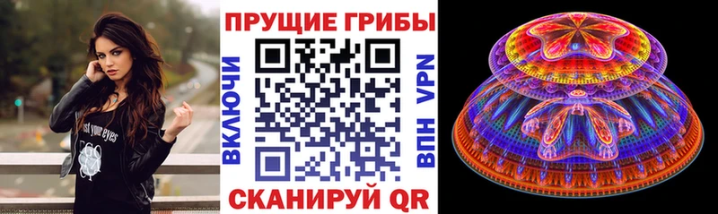 Купить закладки  Неман  Псилоцибиновые грибы мухоморы 